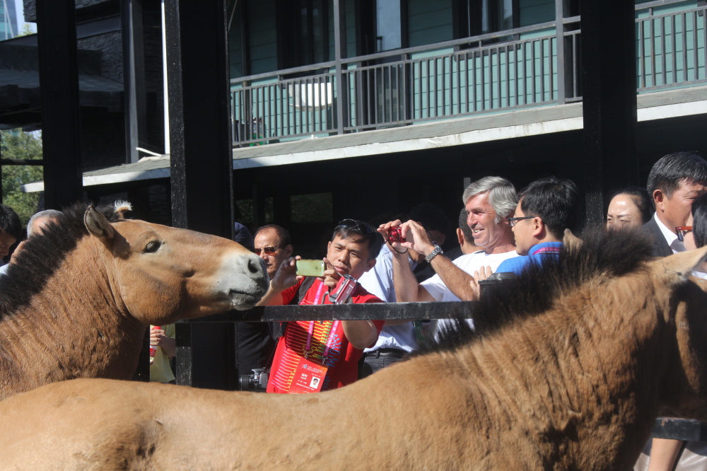 圖片關鍵詞 圖片關鍵詞