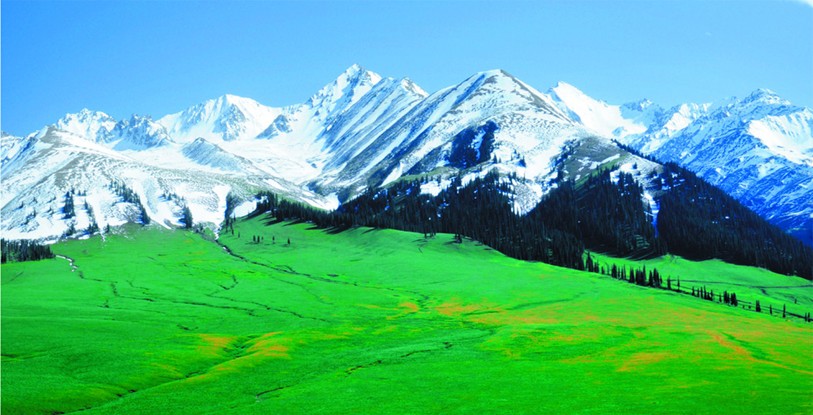 圖片關(guān)鍵詞