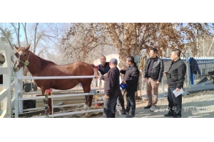 政策支持 企業(yè)發(fā)力 農(nóng)民受益&mdash;&mdash;現(xiàn)代畜禽種業(yè)提升專(zhuān)項(xiàng)資金項(xiàng)目成效顯著