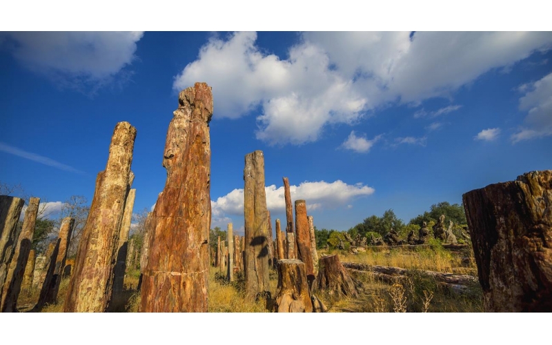 吉爾吉斯前總統(tǒng)與中國(guó)馬會(huì)秘書(shū)長(zhǎng)岳高峰會(huì)面