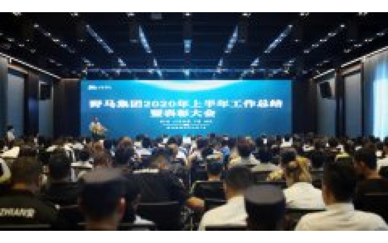 野馬集團(tuán)2020年上半年工作總結(jié)暨表彰大會順利召