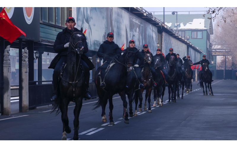 汗血馬隊(duì)列