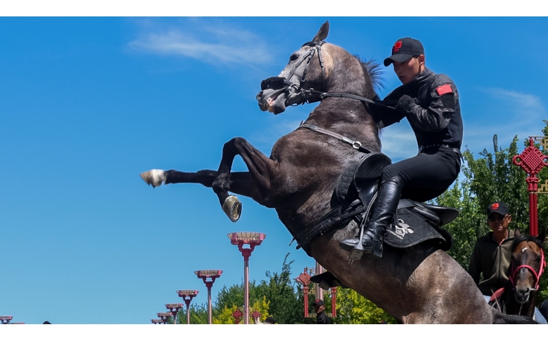 阿勒泰北屯市巡游