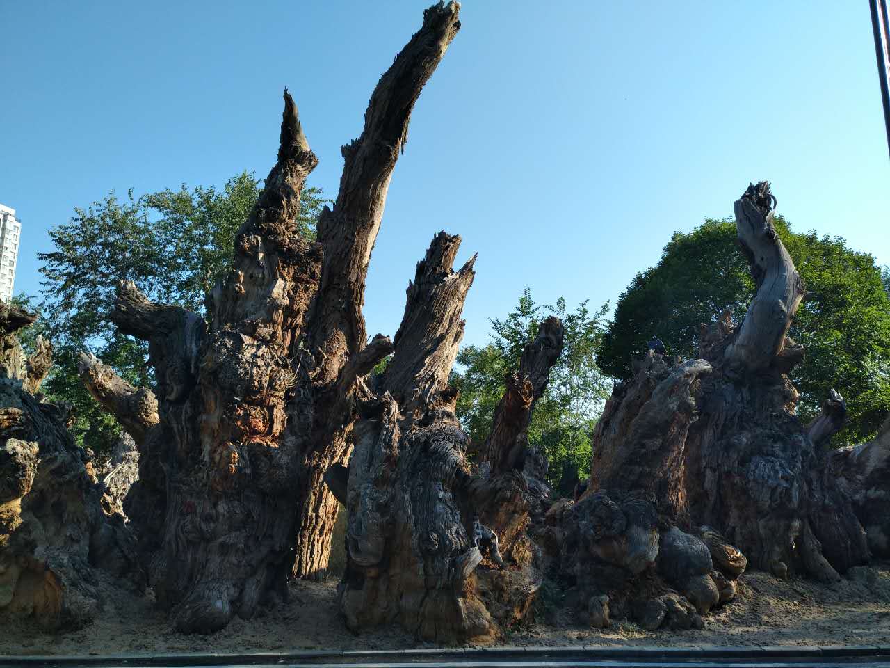 圖片關(guān)鍵詞